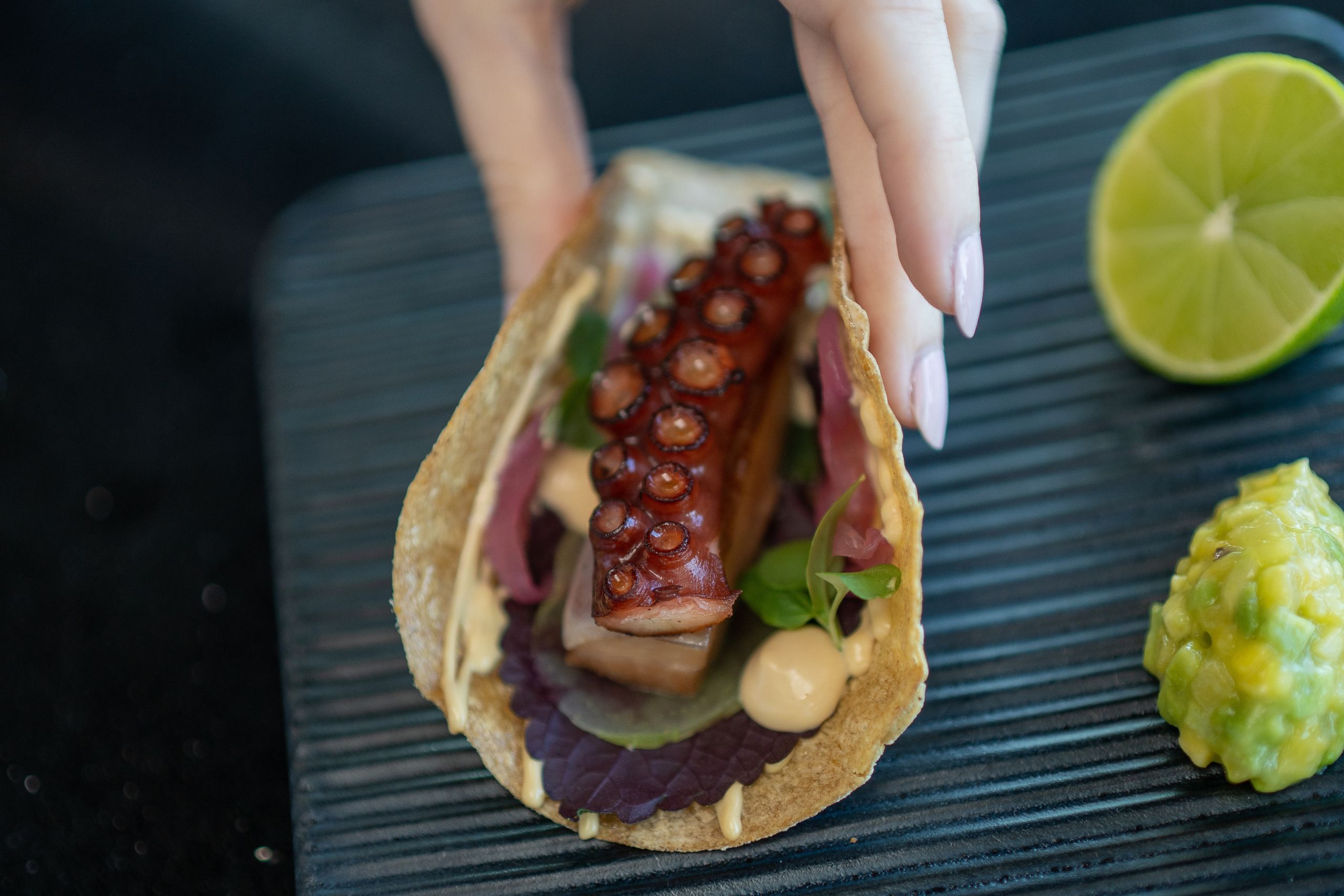Suckling Pig & Octopus Tacos, Hoisin Sauce, Shiso Leaf